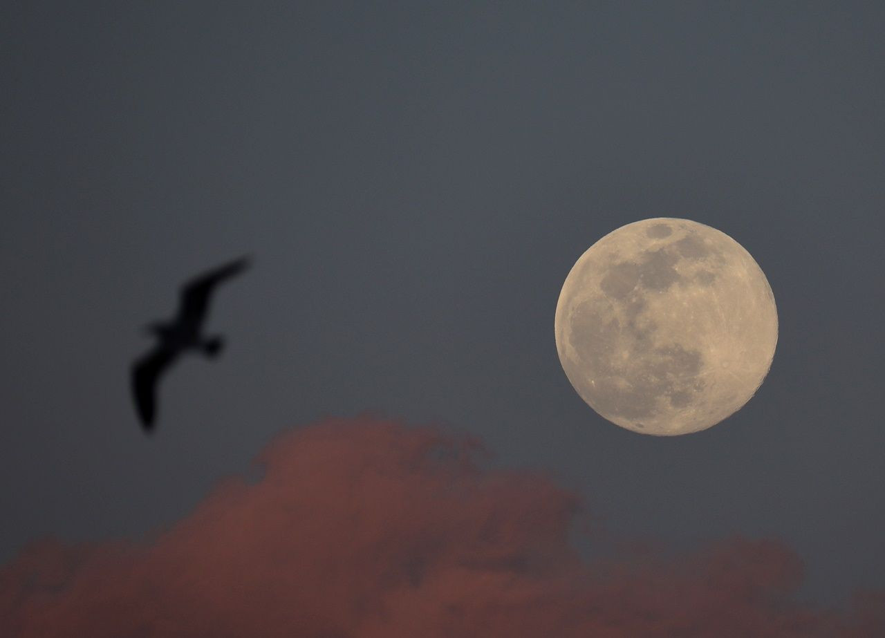 Yurttan Süper Ay manzaraları... - Sayfa 28