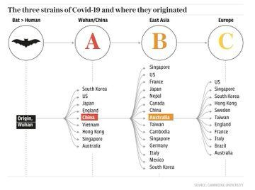 Koronavirüsün elektron mikroskopu ile çekilen görüntüsü yayınlandı... - Sayfa 13