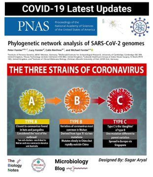 Koronavirüsün elektron mikroskopu ile çekilen görüntüsü yayınlandı... - Sayfa 12