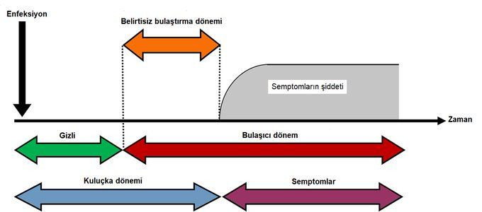 Koronavirüsün elektron mikroskopu ile çekilen görüntüsü yayınlandı... - Sayfa 15