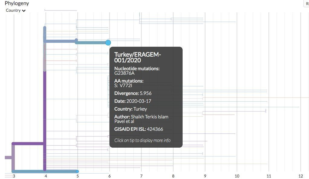 Koronavirüsün elektron mikroskopu ile çekilen görüntüsü yayınlandı... - Sayfa 10