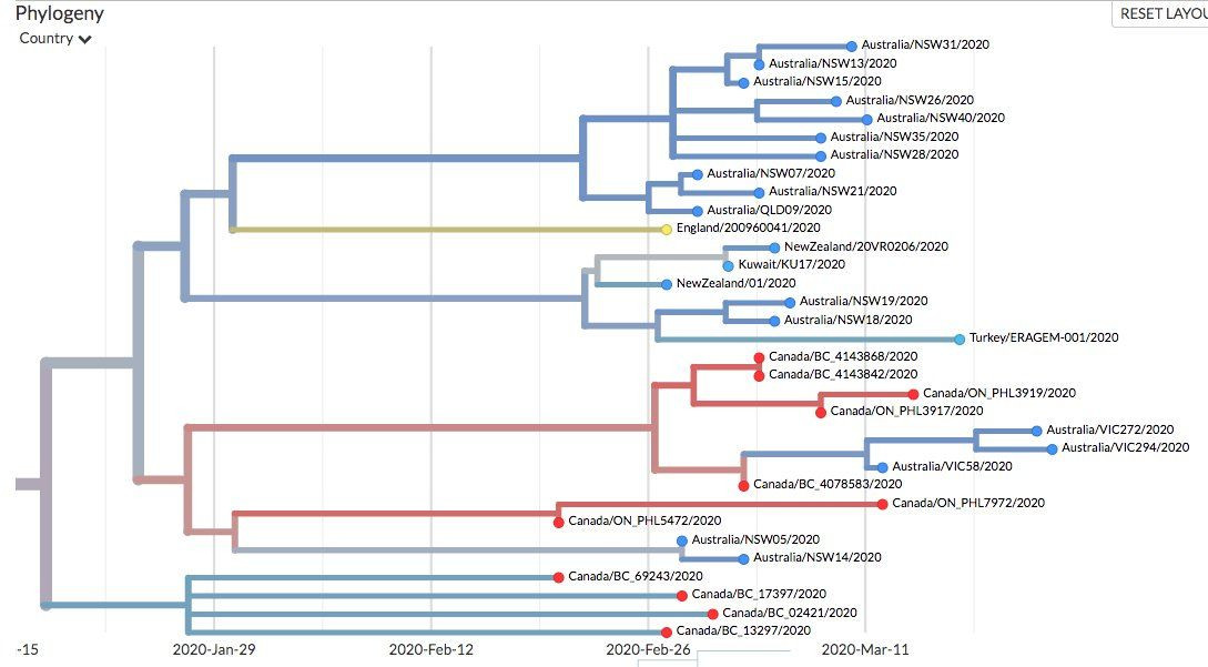 Koronavirüsün elektron mikroskopu ile çekilen görüntüsü yayınlandı... - Sayfa 11