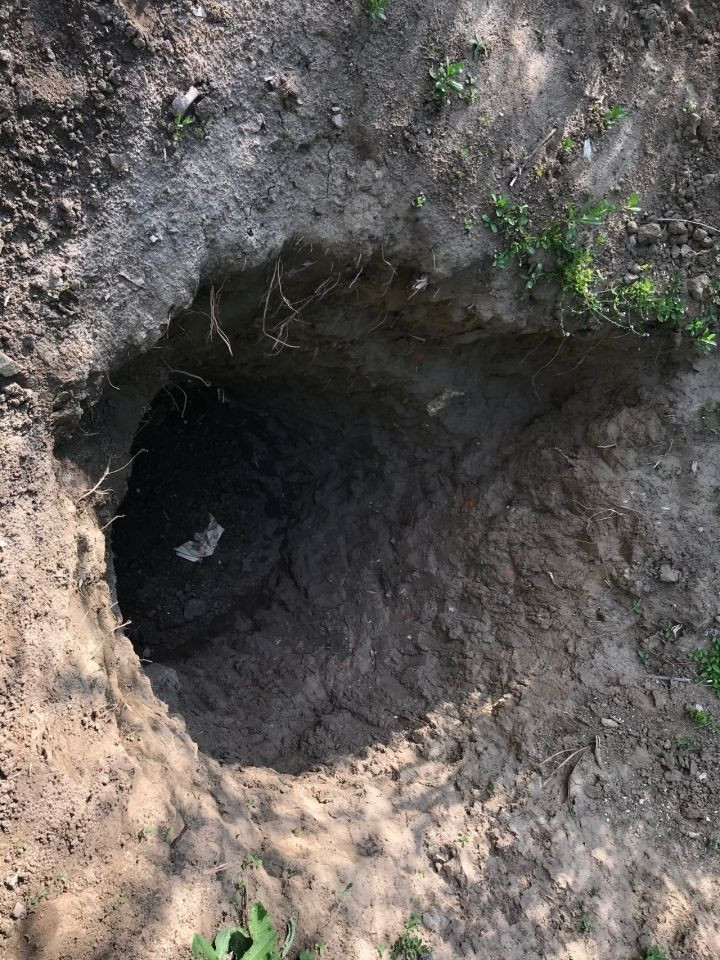 Tarihi camideki define kazısına soruşturma - Sayfa 7