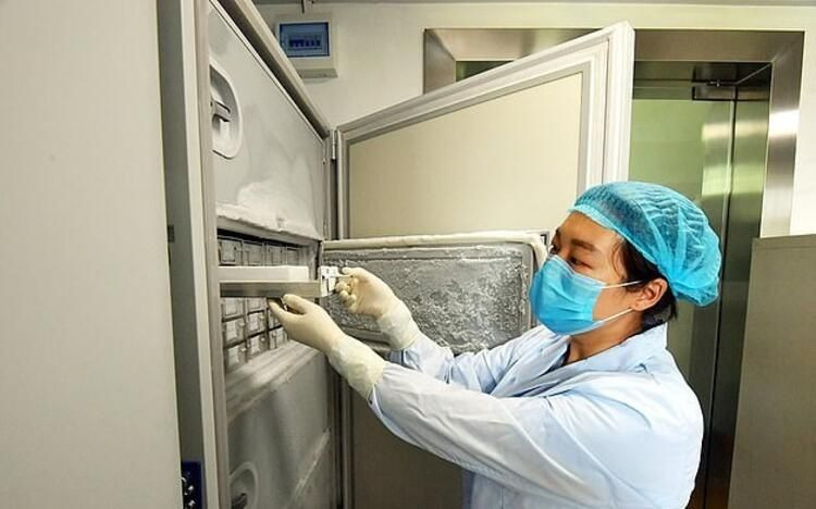 Çin'in sildiği fotoğraflar sızdı! 1500 virüs o dondurucuda saklanıyor... - Sayfa 6