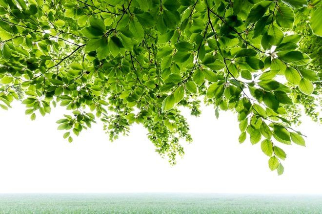 İşte 2020 GDT Doğa Fotoğrafçısı Yarışmasının kazananları.. Ürküten kare! Dünyada bir numaraya oturdu - Sayfa 24