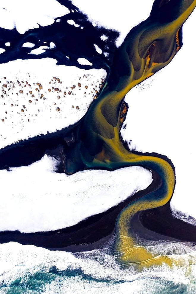 İşte 2020 GDT Doğa Fotoğrafçısı Yarışmasının kazananları.. Ürküten kare! Dünyada bir numaraya oturdu - Sayfa 13