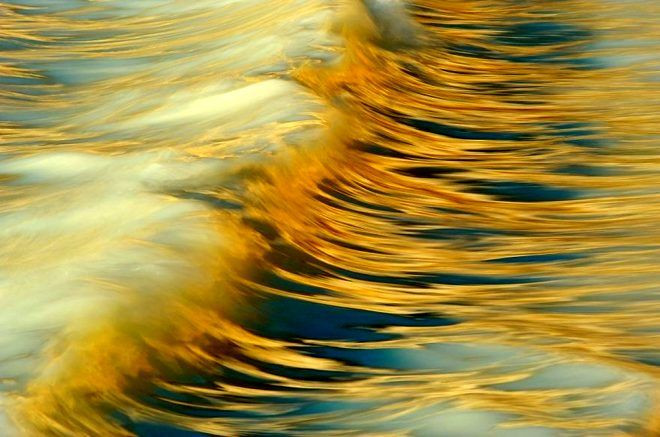 İşte 2020 GDT Doğa Fotoğrafçısı Yarışmasının kazananları.. Ürküten kare! Dünyada bir numaraya oturdu - Sayfa 10