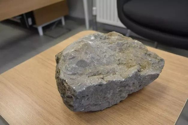 Şırnak'ta tarihi buluş! Tam 40 milyon yıllık - Sayfa 5