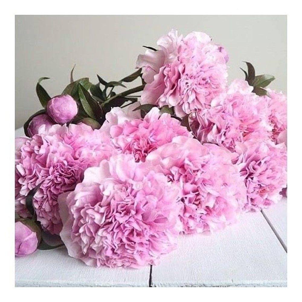 Ünlü isimlerden Anneler Günü paylaşımları - Sayfa 23