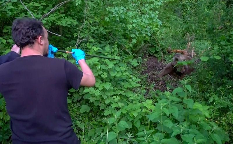 Uludağ’da kapana yakalanan ayı kurtarıldı - Sayfa 5