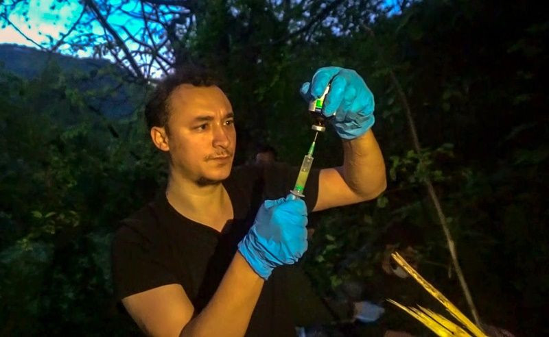 Uludağ’da kapana yakalanan ayı kurtarıldı - Sayfa 7