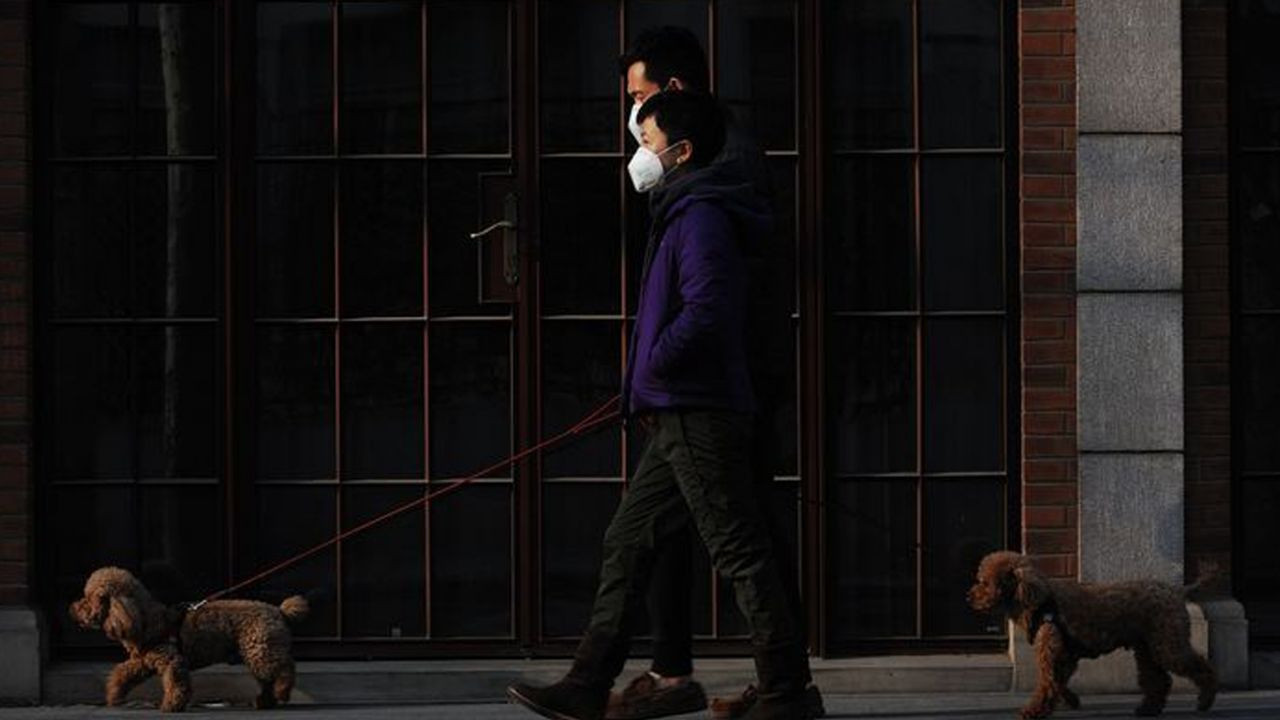 Çin'de klima kâbusu: Aynı hizada oturan herkese koronavirüs bulaştı! - Sayfa 6