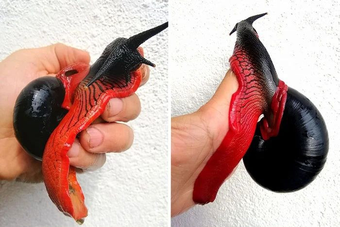 Gerçek olduğuna inanamayacağınız canlılar - Sayfa 16