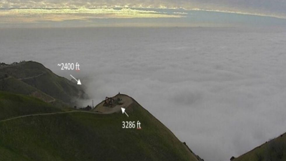 Kobe Bryant'ın otopsi raporu açıklandı - Sayfa 10