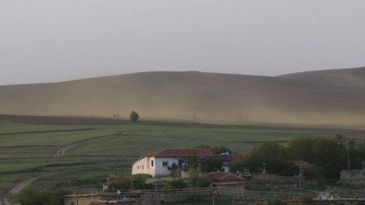 Son dakika... Yozgat'ta bir köy sinek istilasına uğradı - Sayfa 7