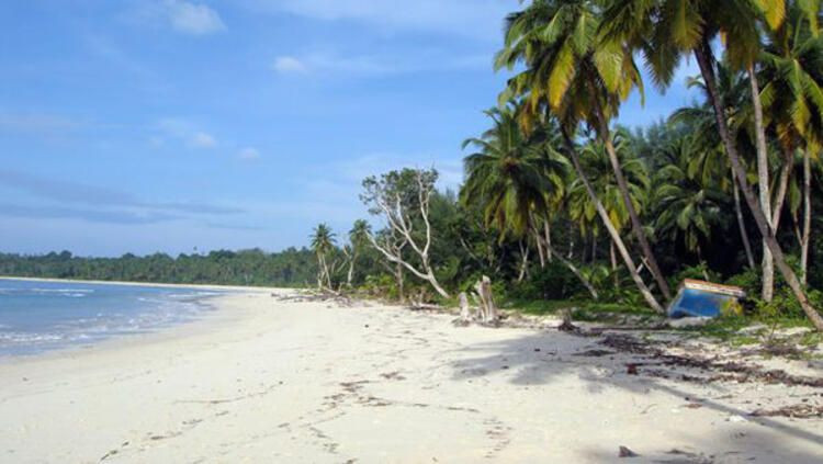 Yanan okla avlayıp kuma gömdüler! Kabilenin öldürdüğü adamın günlüğünden dehşete düşüren satırlar - Sayfa 14