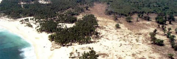 Yanan okla avlayıp kuma gömdüler! Kabilenin öldürdüğü adamın günlüğünden dehşete düşüren satırlar - Sayfa 15