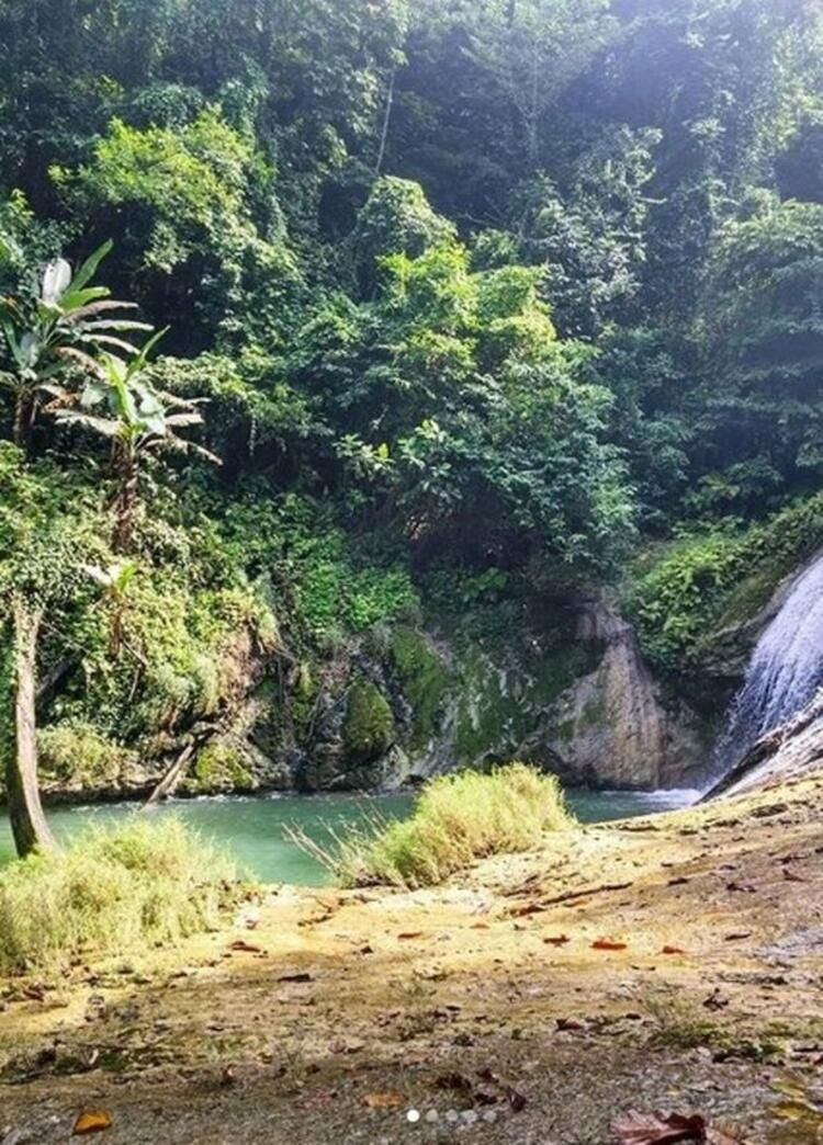 Yanan okla avlayıp kuma gömdüler! Kabilenin öldürdüğü adamın günlüğünden dehşete düşüren satırlar - Sayfa 21