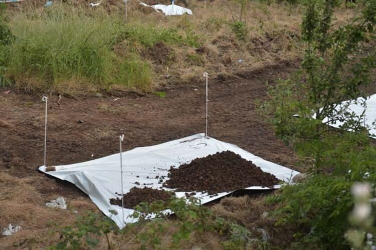 Ormana götürüyorlardı... İkiye bölünmüş cesedi bavuldan çıktı - Sayfa 15