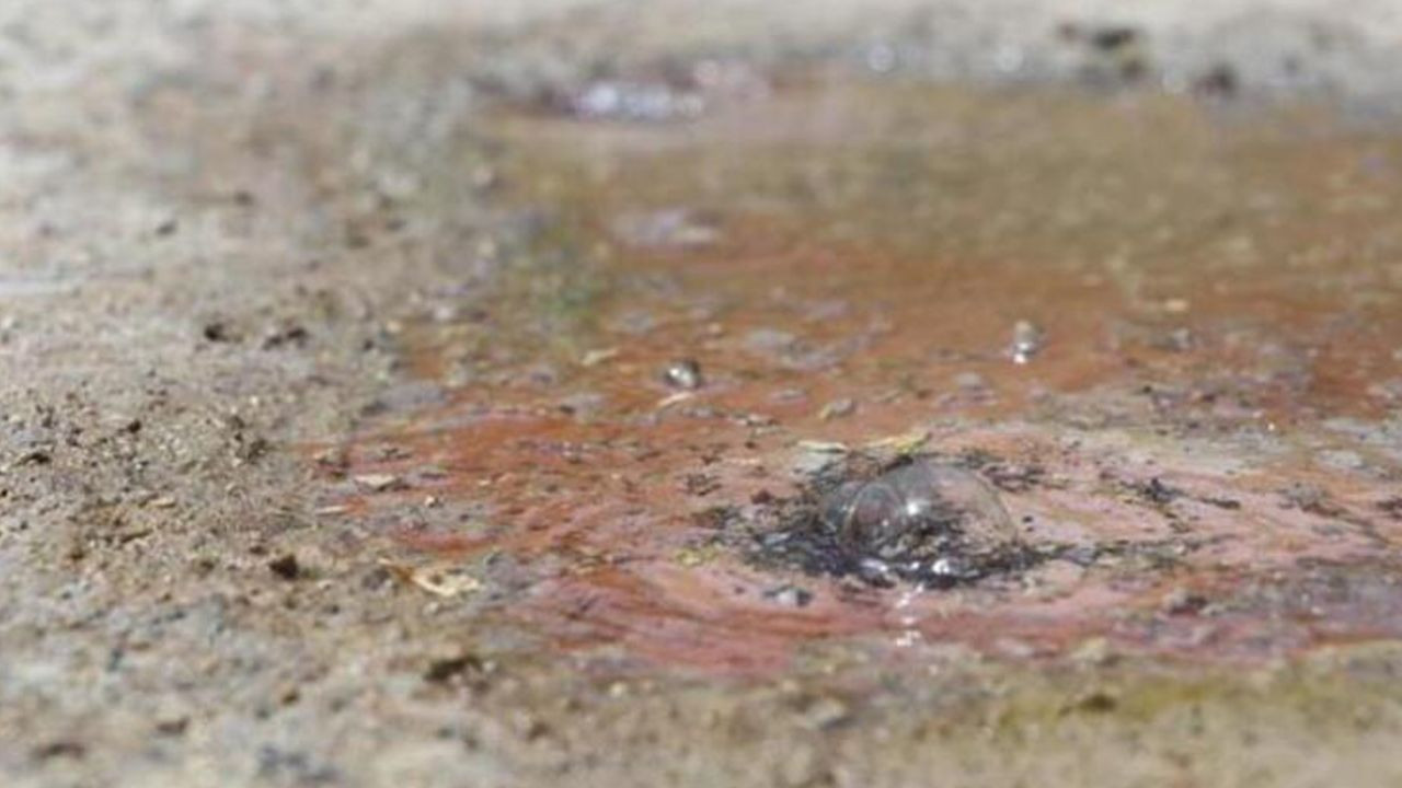 Son dakika... Karayolunun altından geçen sıcak su kaynağı asfaltı deldi - Sayfa 11