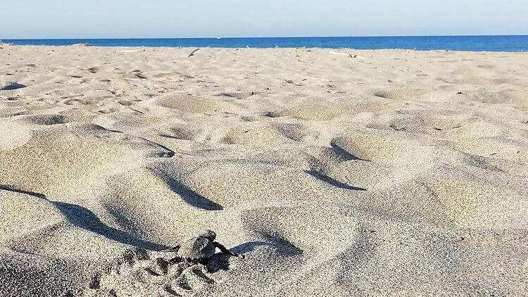 15 ilde seyahat yasağının kalkacağı tarih belli oldu! - Sayfa 12