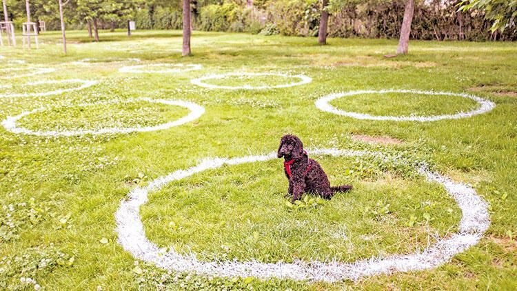 15 ilde seyahat yasağının kalkacağı tarih belli oldu! - Sayfa 22
