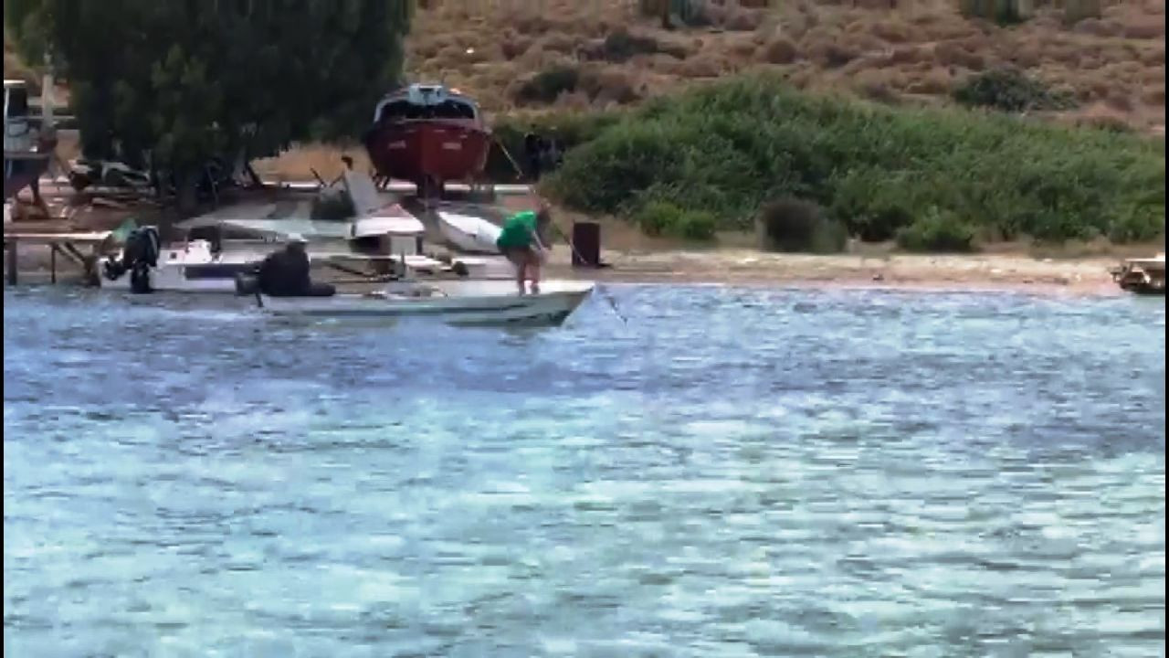 Bunun adı vahşet! Köpek balığını böyle öldürdüler! - Sayfa 5