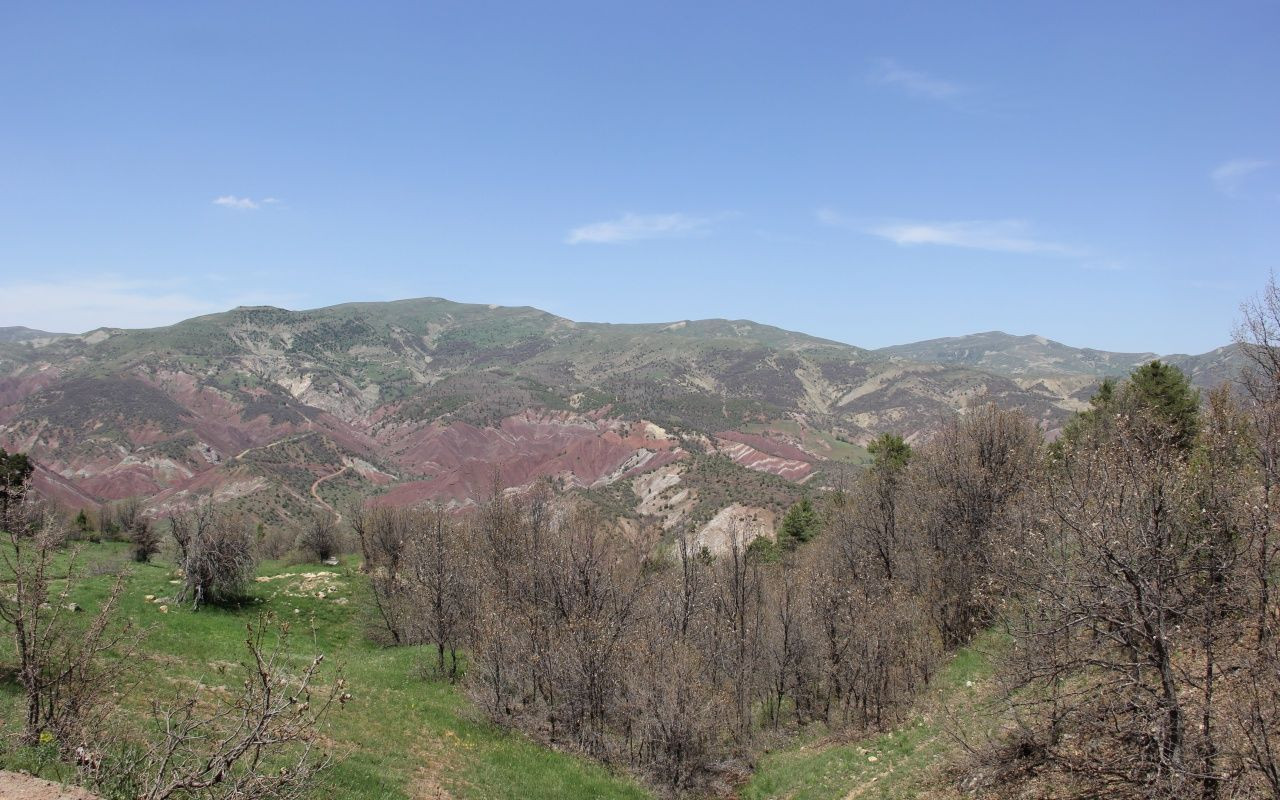 Türkiye'de görüldü! Her gün 10 kişi hastaneye gidiyor - Sayfa 6