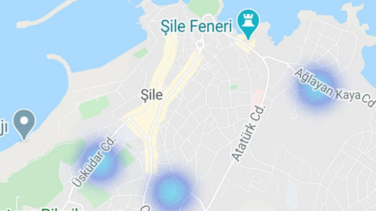 İşte İstanbul'daki koronavirüs yoğunluğu - Sayfa 30