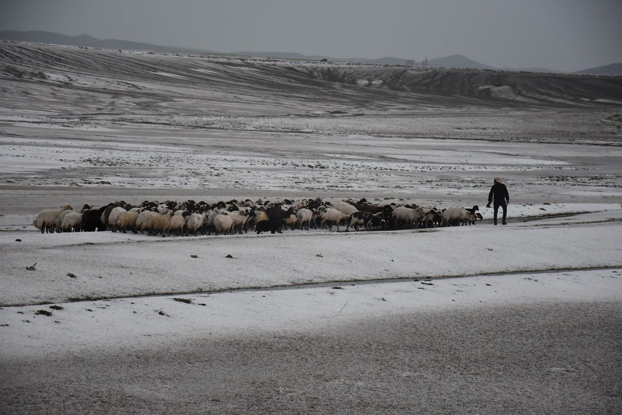 Dolu yağışı nedeniyle 50 küçükbaş hayvan telef oldu! - Sayfa 6