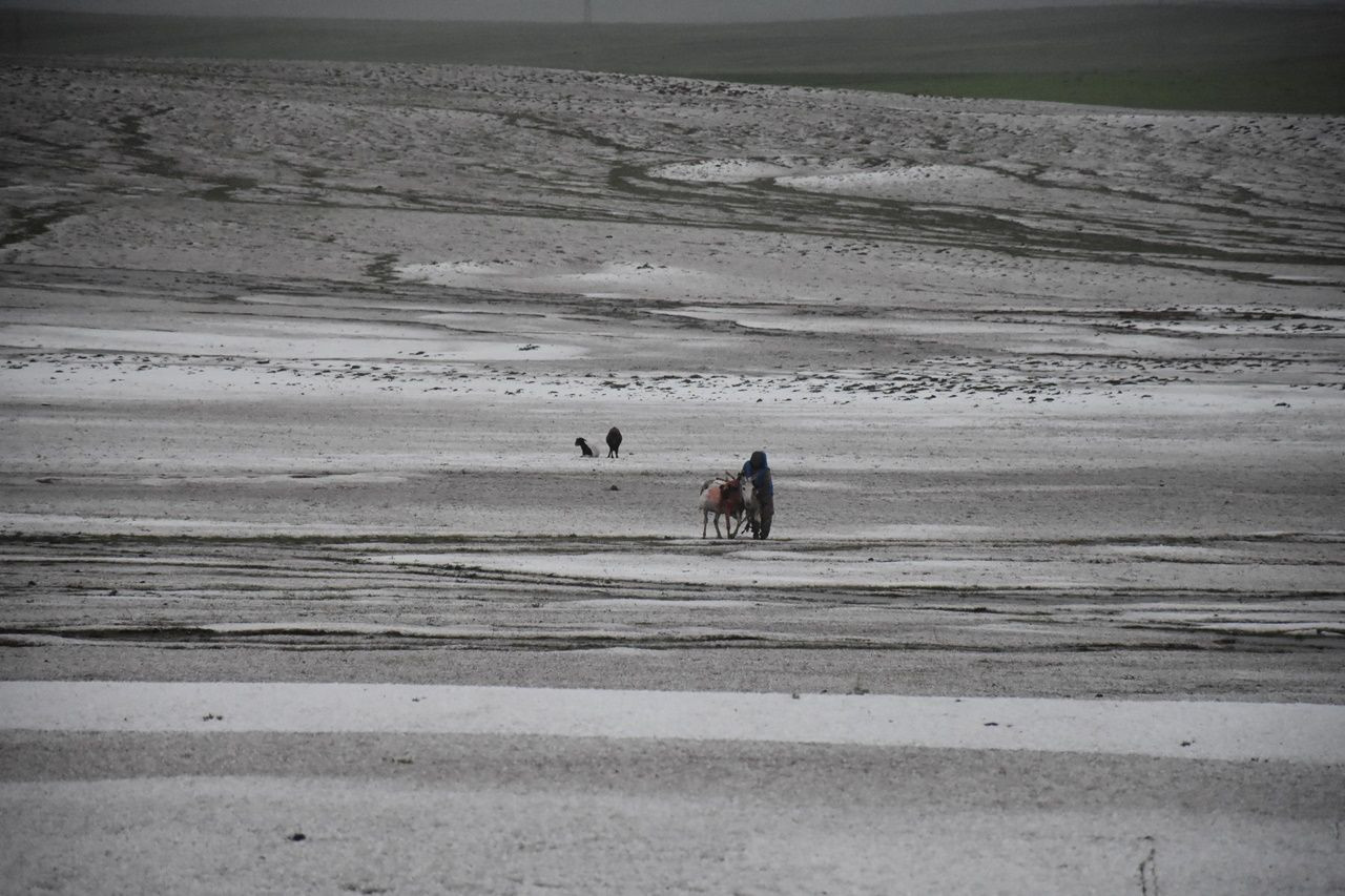 Dolu yağışı nedeniyle 50 küçükbaş hayvan telef oldu! - Sayfa 12