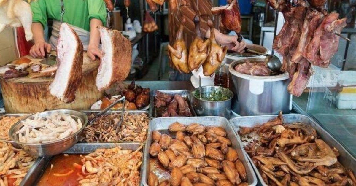 O hayvanda farklı korona türleri bulundu - Sayfa 7