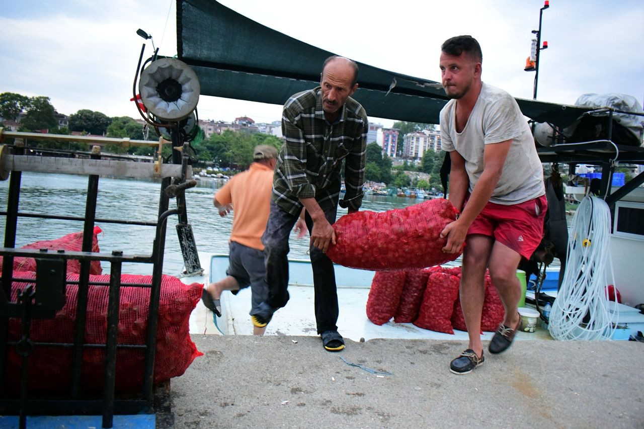 Uzak Doğu'nun gözü Akçakoca'nın deniz salyangozlarında! - Sayfa 8