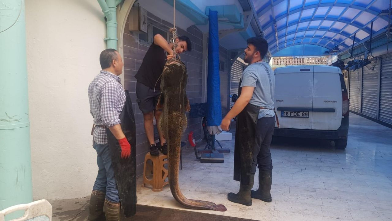 İznik'te yakalandı, gören telefona sarıldı! - Sayfa 6