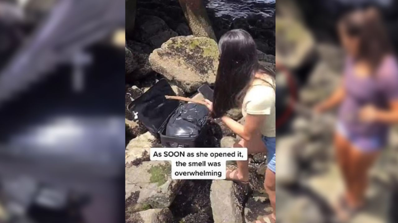 Sahilde buldukları bavulu içinde para vardır diye açtılar, sonra olanlar... - Sayfa 5