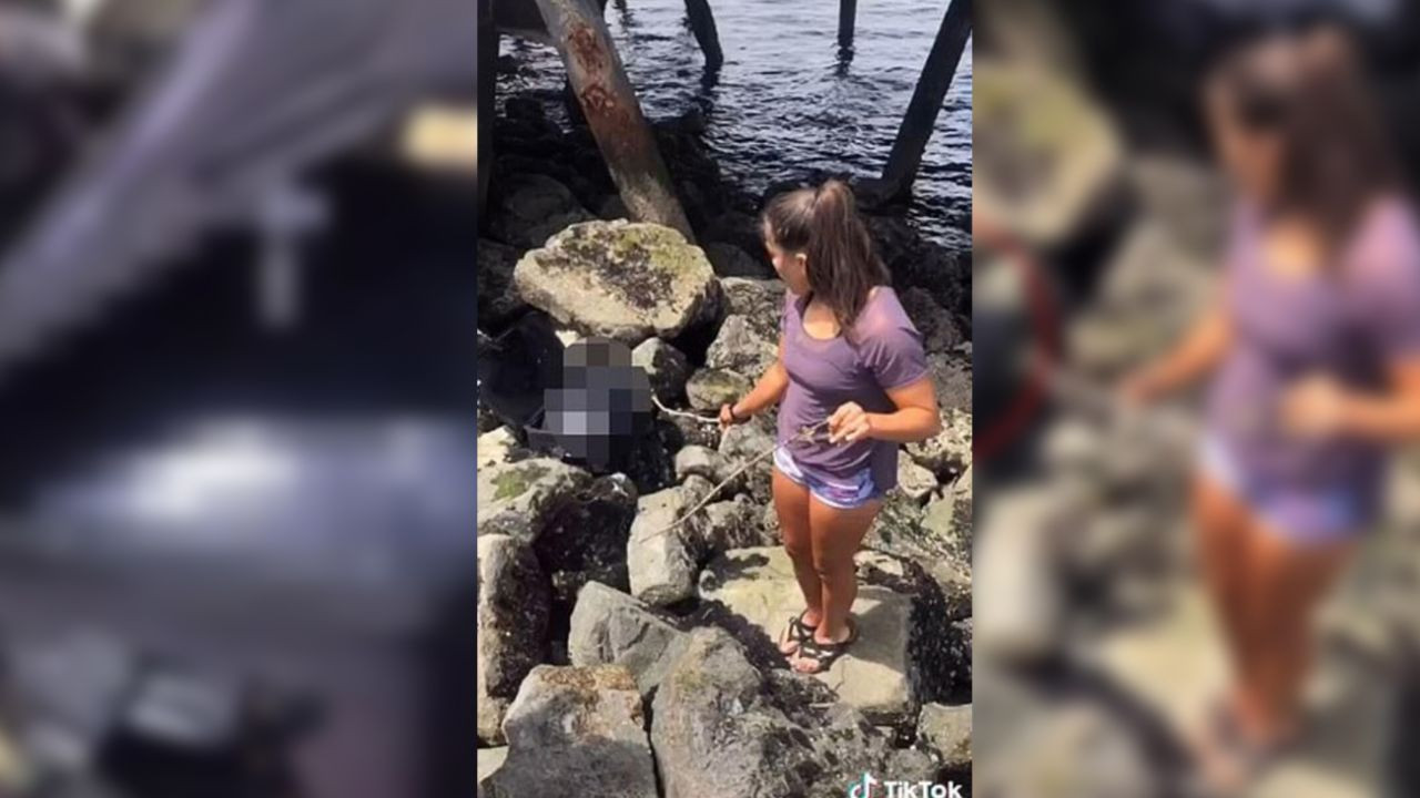 Sahilde buldukları bavulu içinde para vardır diye açtılar, sonra olanlar... - Sayfa 6