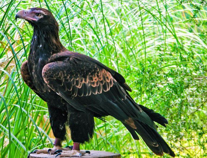 Okulda öğrenemeyeceğiniz birbirinden ilginç bilgiler! - Sayfa 14