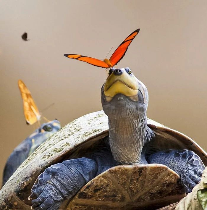 Okulda öğrenemeyeceğiniz birbirinden ilginç bilgiler! - Sayfa 13