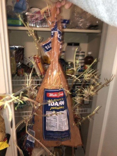 Korona nedeniyle 3 ay evini kapattı, döndüğünde gördüklerine inanamadı - Sayfa 19