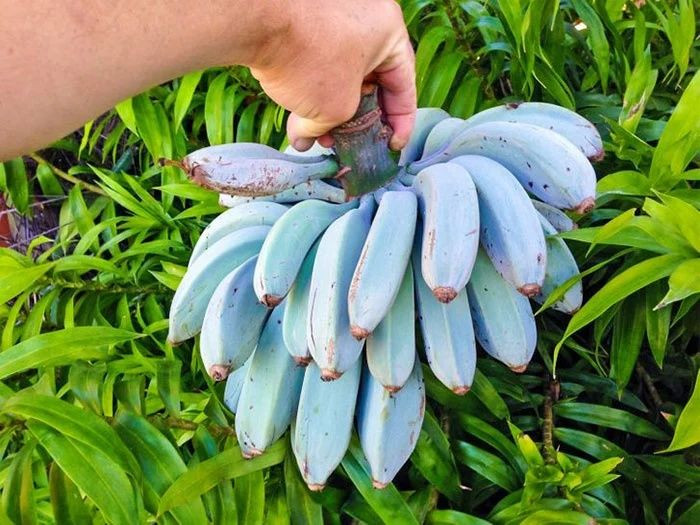 Okulda öğrenemeyeceğiniz birbirinden ilginç bilgiler! - Sayfa 11