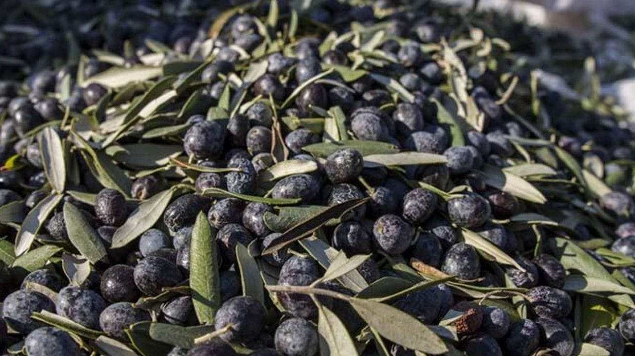 Böyle görünüyorsa sakın almayın - Sayfa 11