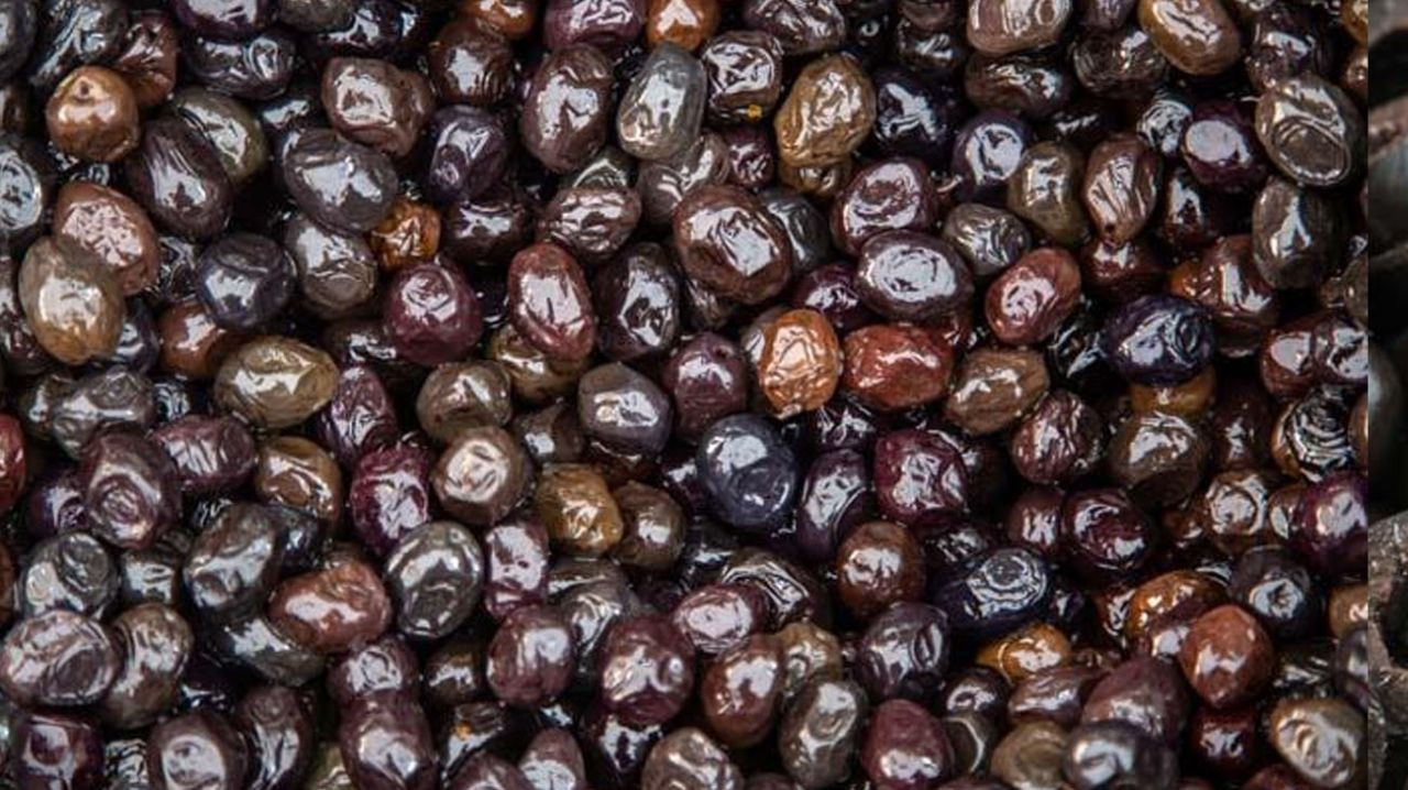 Böyle görünüyorsa sakın almayın - Sayfa 7