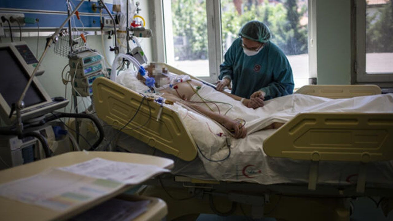 Bilim Kurulu Üyesi Çelik: Yazın bulantı, kusma ve ishal en çok görülen belirtiler - Sayfa 7