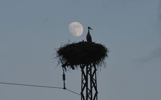 Türkiye'den dolunay manzaraları! - Sayfa 7