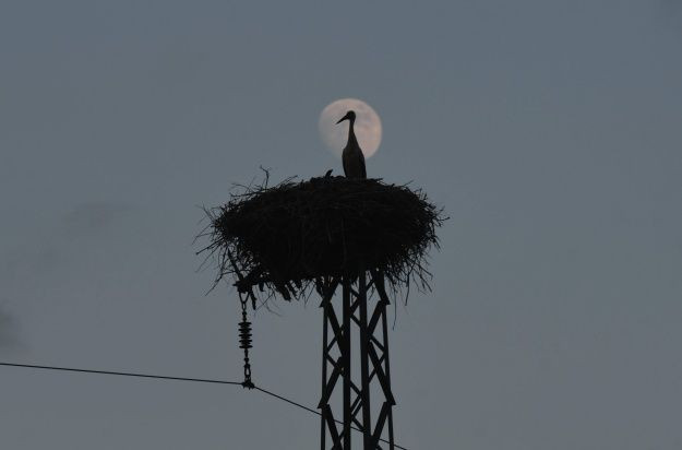 Türkiye'den dolunay manzaraları! - Sayfa 8