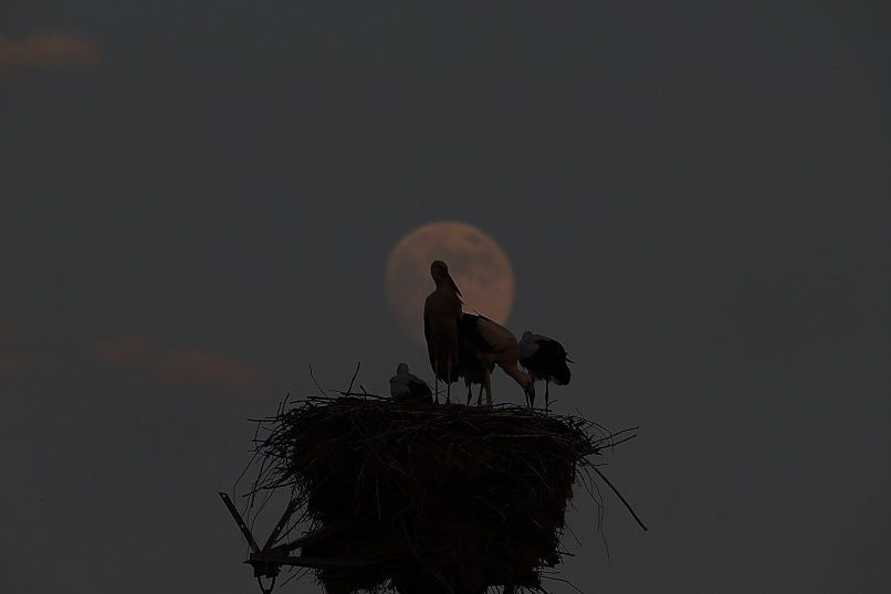 Türkiye'den dolunay manzaraları! - Sayfa 10
