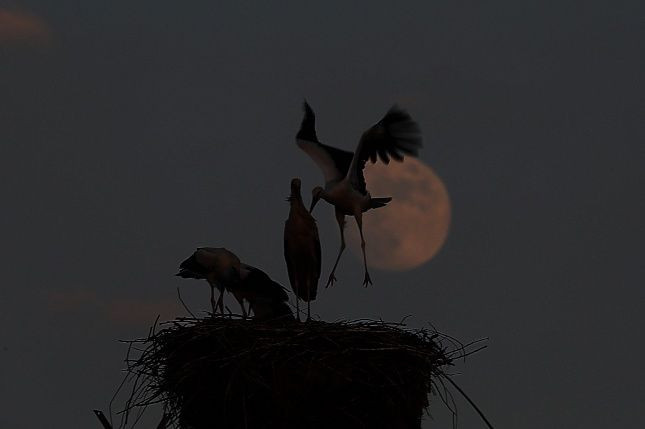 Türkiye'den dolunay manzaraları! - Sayfa 11