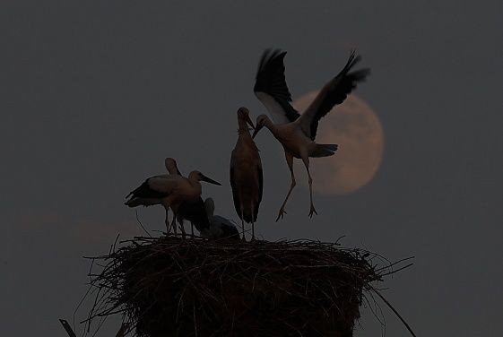 Türkiye'den dolunay manzaraları! - Sayfa 12