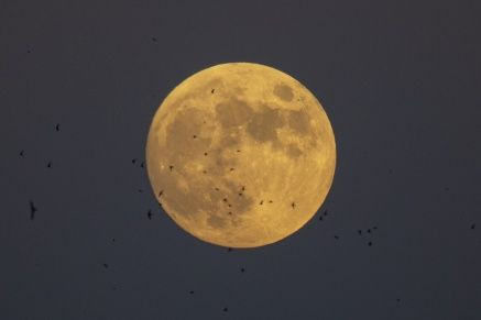 Türkiye'den dolunay manzaraları! - Sayfa 28