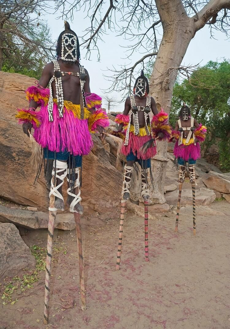 İlkel kabilenin bildiklerini bilim dünyası yeni keşfediyor - Sayfa 14